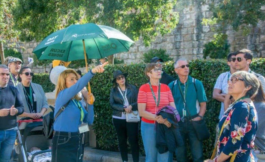 Tour por Sevilla y la Torre del Oro