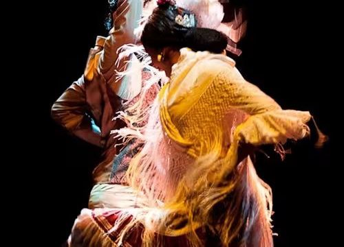 Flamenco Dance Museum: Entrance + Authentic Flamenco Show