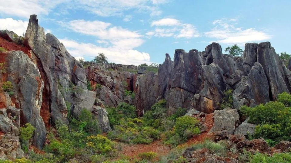 Visitas escolares en el Cerro del Hierro