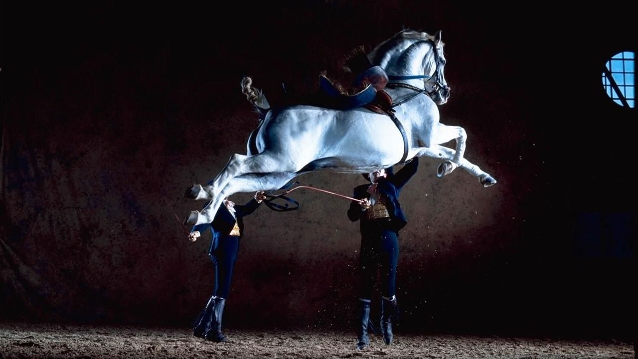 Cómo Bailan los Caballos Andaluces