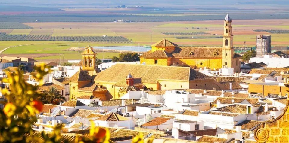 Visitas guiadas en Osuna