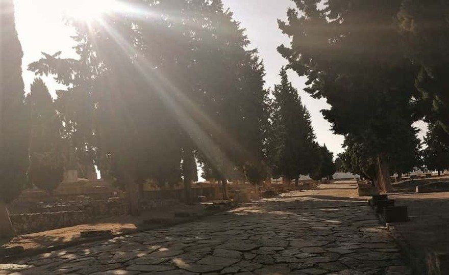 Visita guiada por Itálica