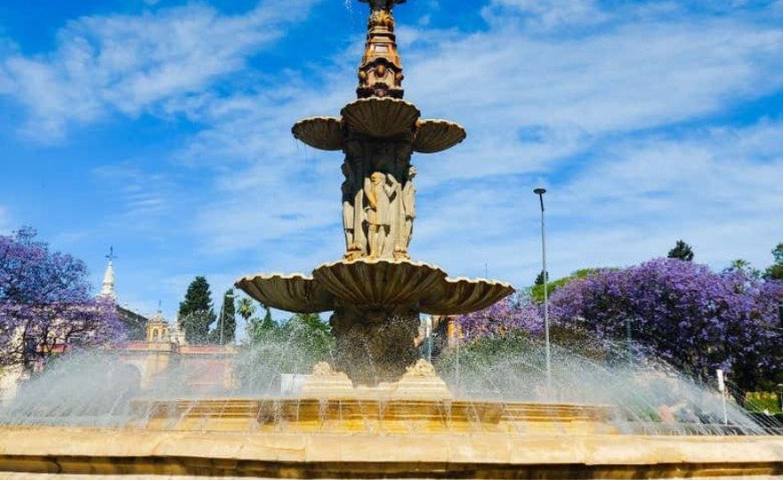 Tour privado por Sevilla