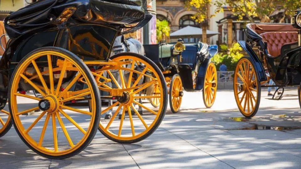 Visitas guiadas en coches de caballos en Sevilla