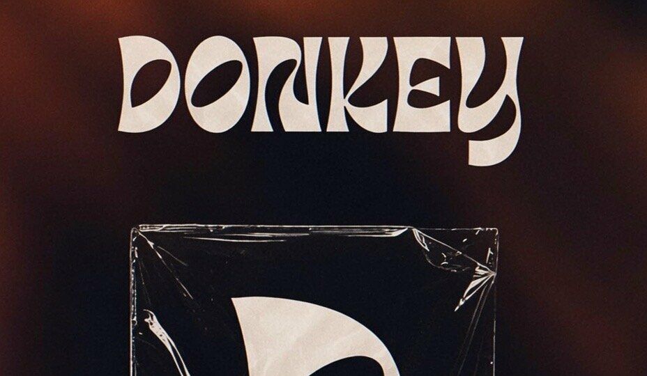 Donkey en Osuna