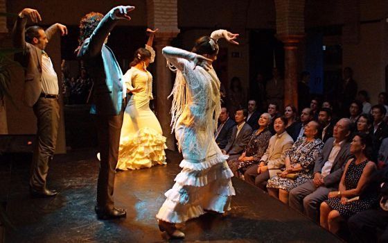 Museo del Baile Flamenco: Entrada + Puro Espectáculo Flamenco