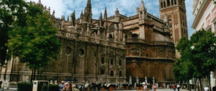 Entrada Catedral de Sevilla e Iglesia del Salvador (sin entradas) (Visita guiada (sin entradas) - Adulto)