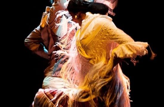 Flamenco Dance Museum: Entrance + Authentic Flamenco Show
