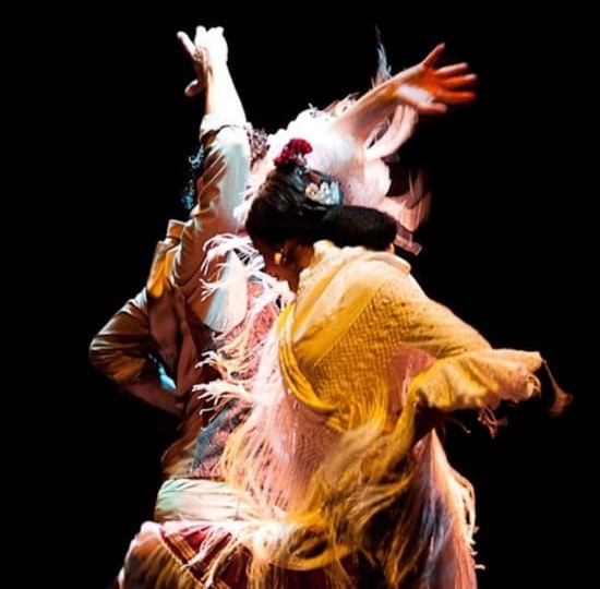 Flamenco Dance Museum: Entrance + Authentic Flamenco Show