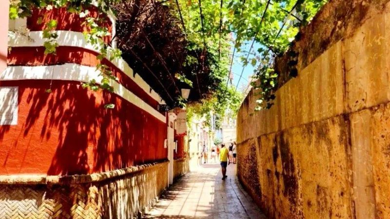 Visitas escolares al barrio de Santa Cruz