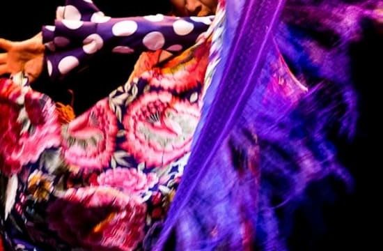 Flamenco Dance Museum: Show only