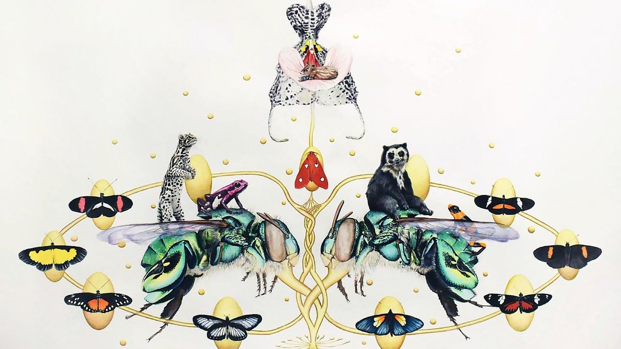 Ecocosmos