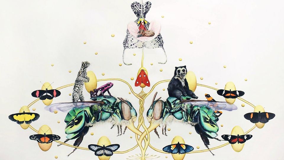 Ecocosmos