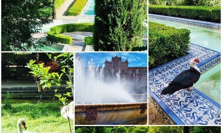 Visitas guiadas en el Parque de María Luisa