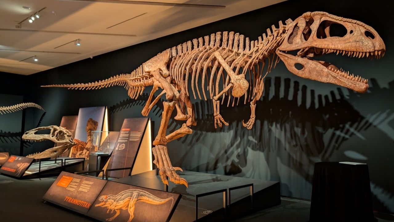 Dinosaurios de la Patagonia aterriza en CaixaForum Sevilla con gigantes del Mesozoico