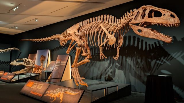 Dinosaurios de la Patagonia aterriza en CaixaForum Sevilla con gigantes del Mesozoico