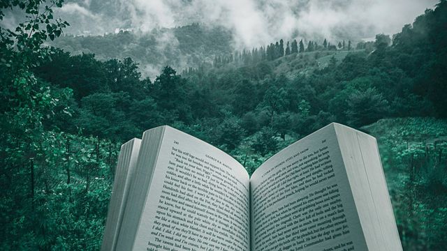 La Feria del Libro de Sevilla toma los Jardines de Murillo con autores, talleres y encuentros