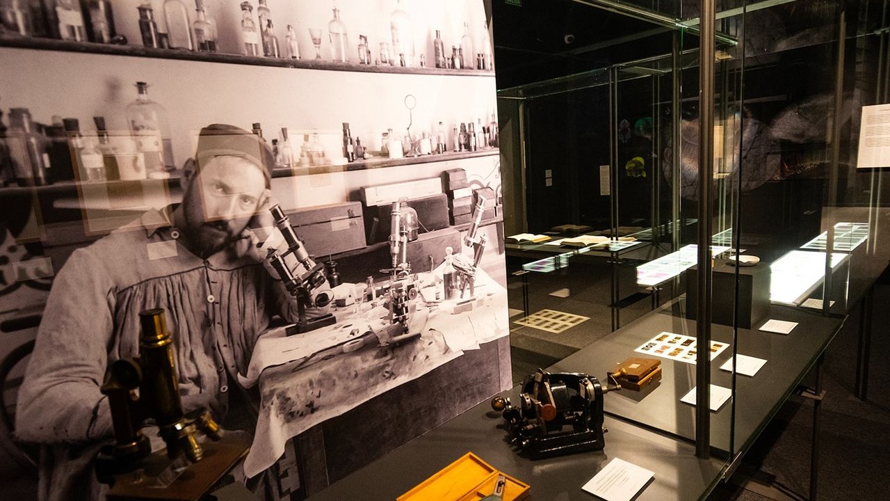 Cerebro(s): una exposición fascinante en Sevilla que invita a reflexionar