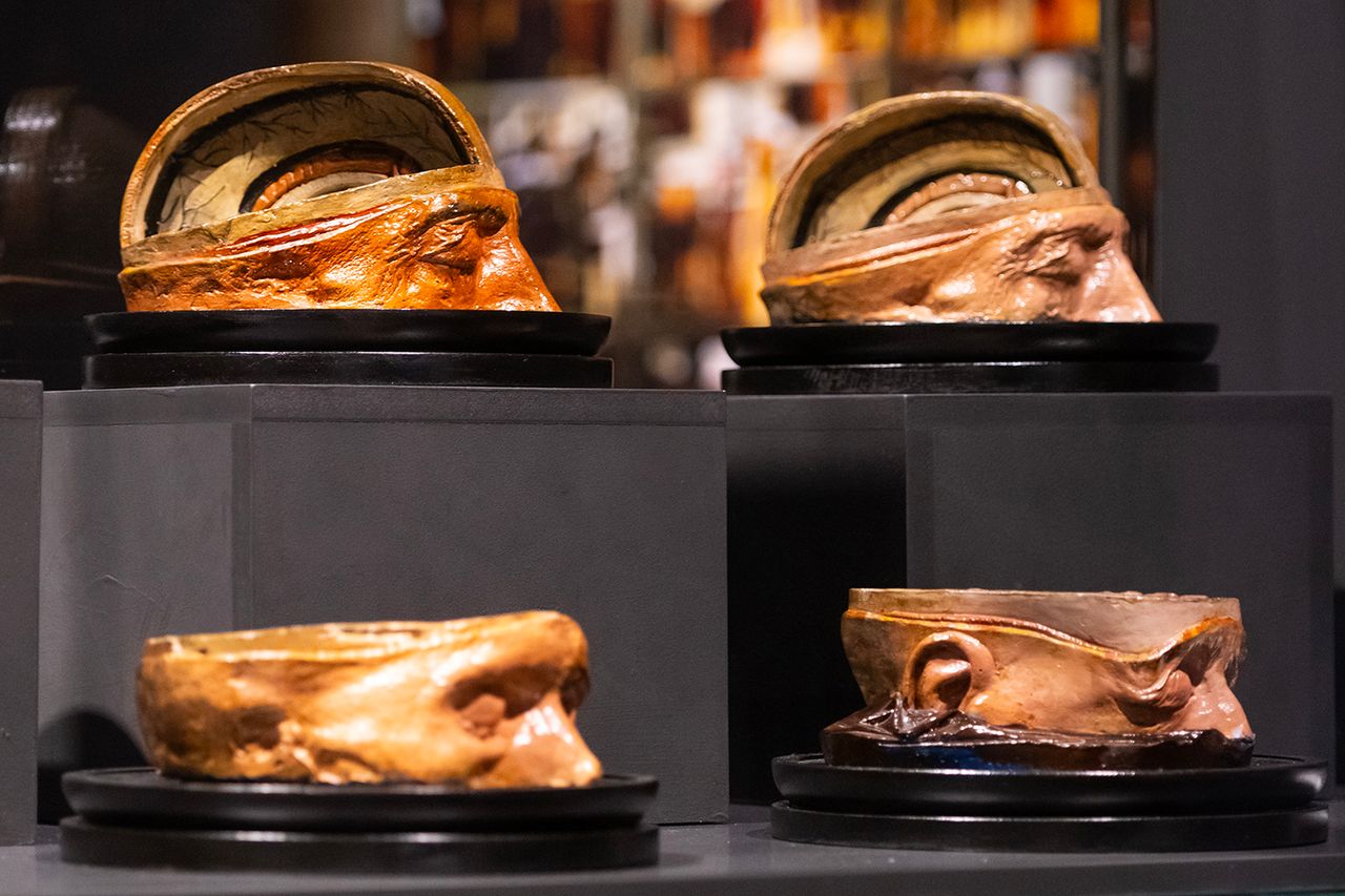 Exposición Cerebro(s). Foto: Casa de la Ciencia de Sevilla. 