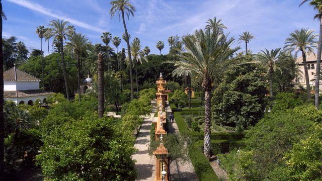 Noches en los Jardines del Real Alcázar de Sevilla: música para un verano que sigue abierto